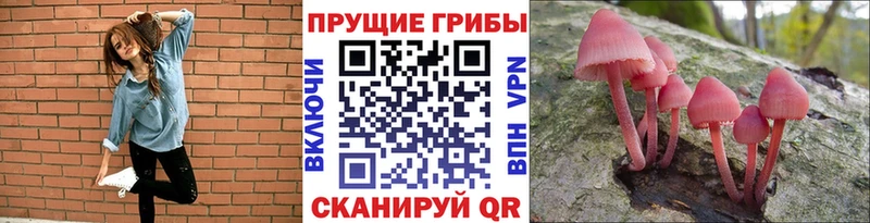 Галлюциногенные грибы Cubensis  ссылка на мегу tor  Рыльск 
